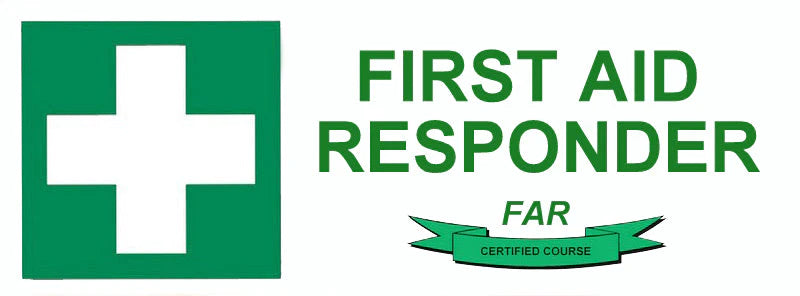 FAR ( First Aid Responder ) Training - Gorey April 2024